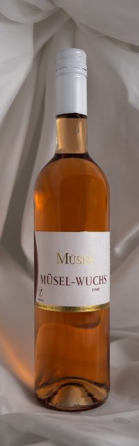 MÜSEL-WUCHS Dornfelder Rosé feinherb #W22 verdeutlicht die Anbauweise im Weinberg.